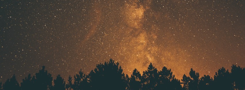 Raf Rasenberg | Cover Photo